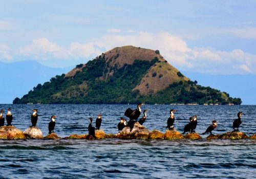 Lake Kivu is located in the western Rwanda and is the largest lake in Rwanda. It is surrounded by mountains, has deep green waters, and is Rwanda’s largest lake. Activities to do at lake kivu include boat cruises, kayaking, swimming, fishing and observe local fishing methods, and hike or bike along scenic trails like the Congo Nile Trail.